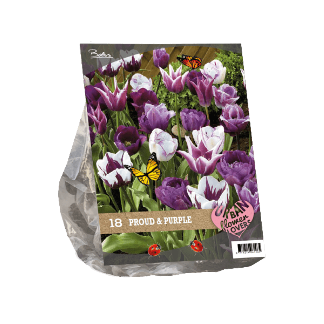 Baltus Urban Flowers Proud & Purple per 18 - 