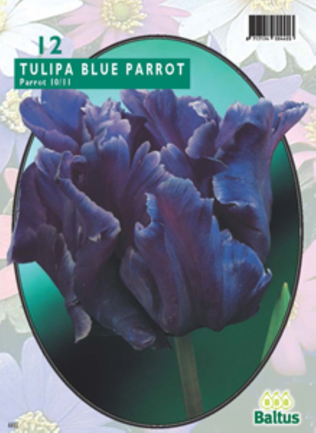 Baltus Tulipa Blue Parrot Parkiet per 12 bloembollen - 