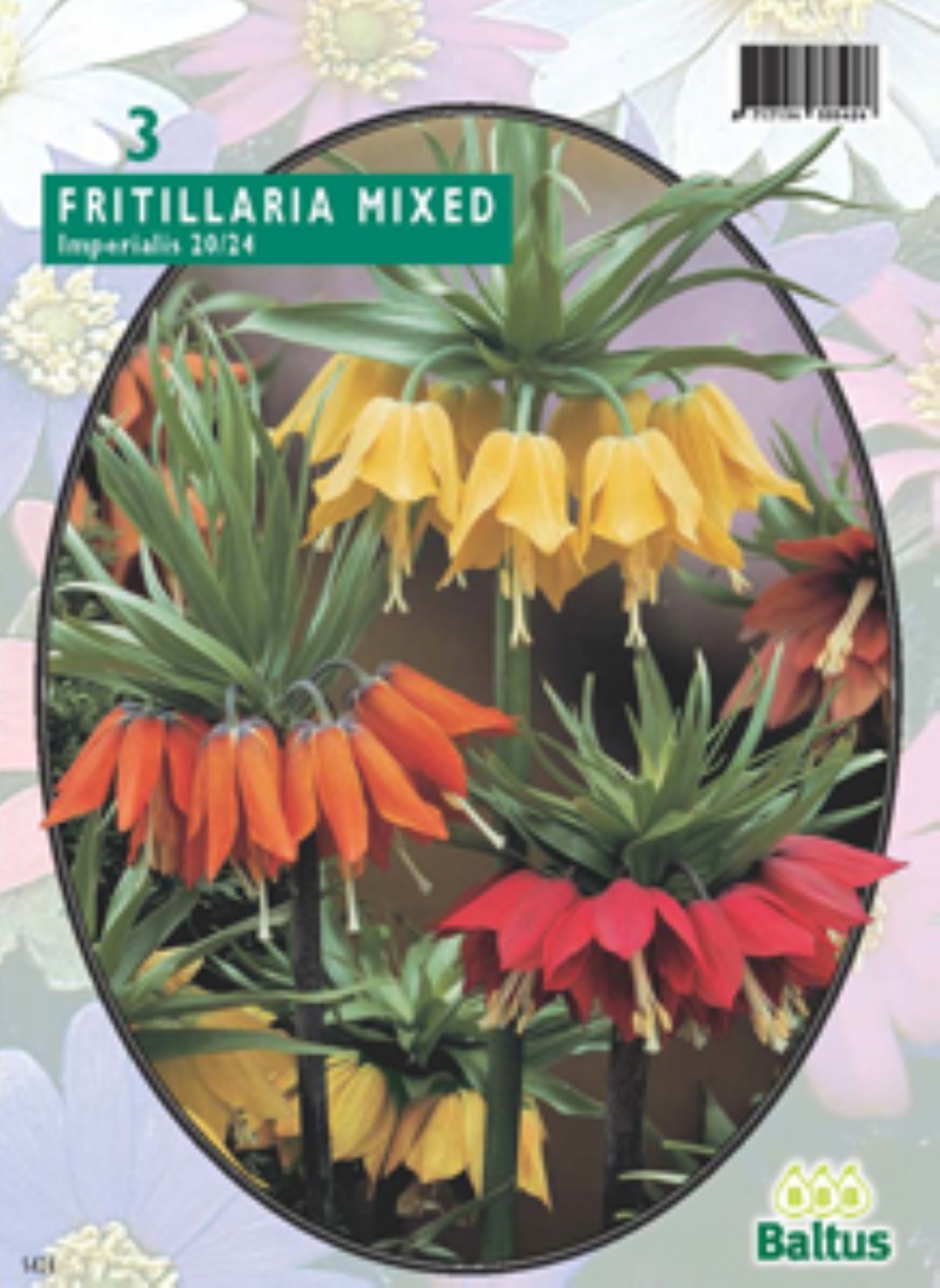 Baltus Fritillaria Imperialis mixed per 3 bloembollen - 