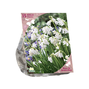 Baltus Bees & Butterflies Scilla Hispanica Wit per 15 bloembollen - 