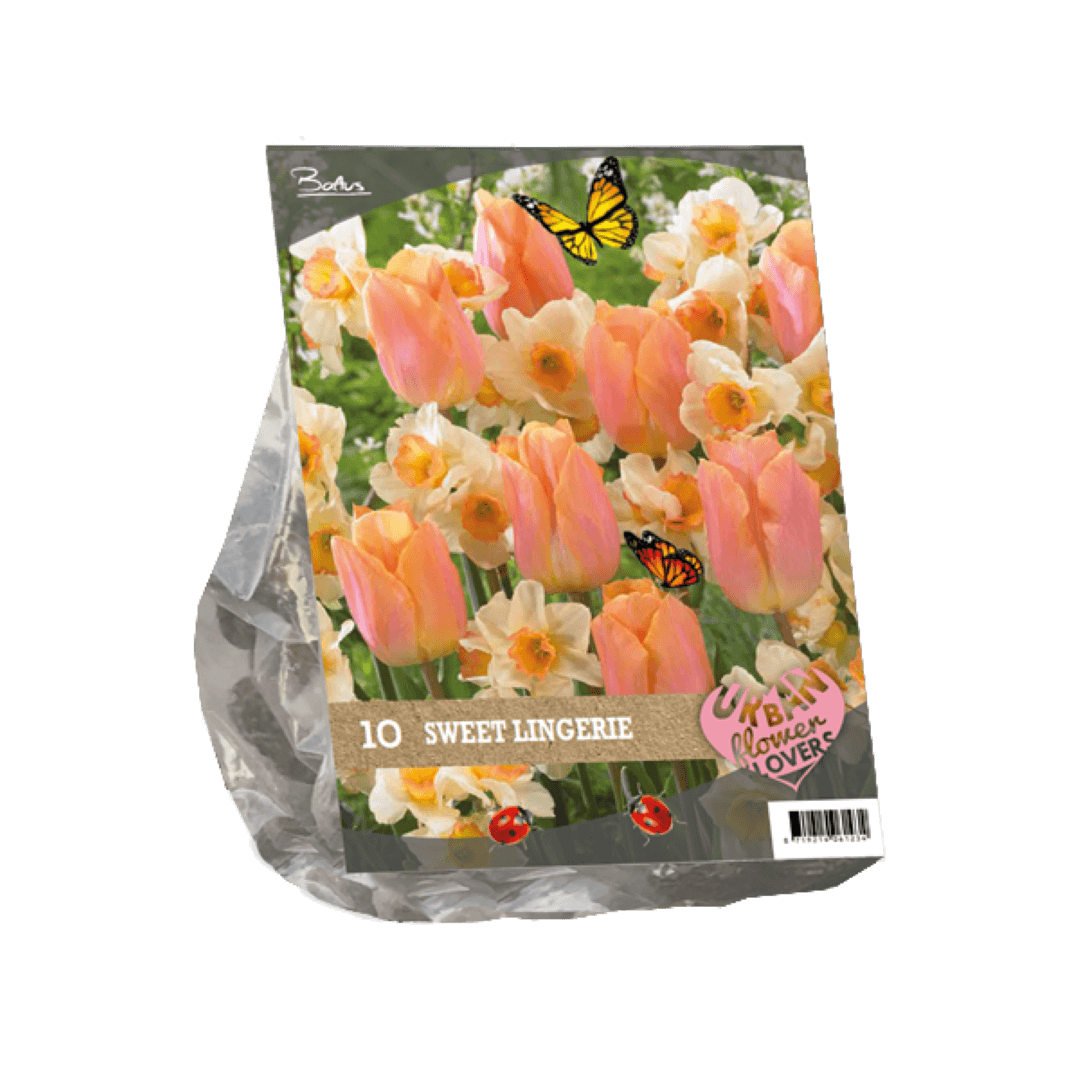 Baltus Urban Flowers Sweet lingery per 10 - 