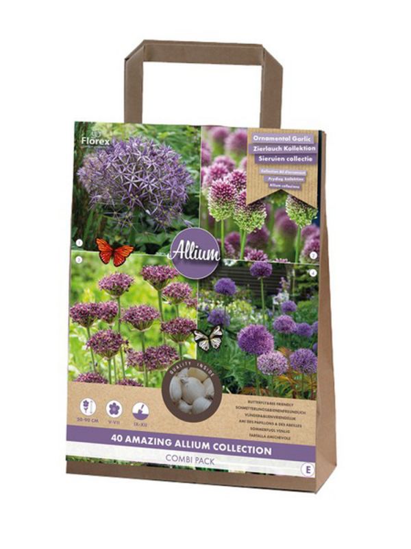 Florex Allium Allium - Bloembollen - Gemengd - 40 stuks