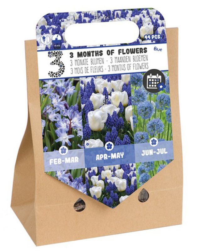 Florex Bloembollenpakket gemengd 3 mdn bloemen- Blauw - Bloembollen - Blauw/Wit - 44 stuks