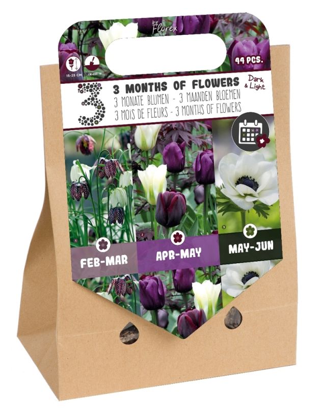 Florex Bloembollenpakket gemengd 3 mdn bloemen- Donker&Licht - Bloembollen - Gemengd - 44 stuks