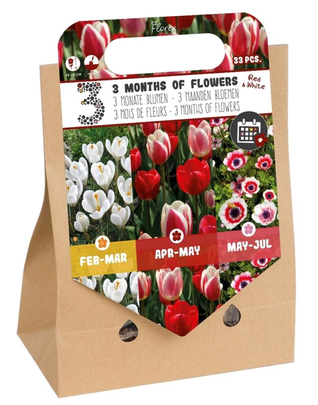 Florex Bloembollenpakket gemengd 3 mnd bloemen- Rood - Bloembollen - Rood - 33 stuks