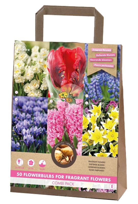 Florex Mengsel geurende bloemen - Bloembollen - Gemengd - 50 stuks