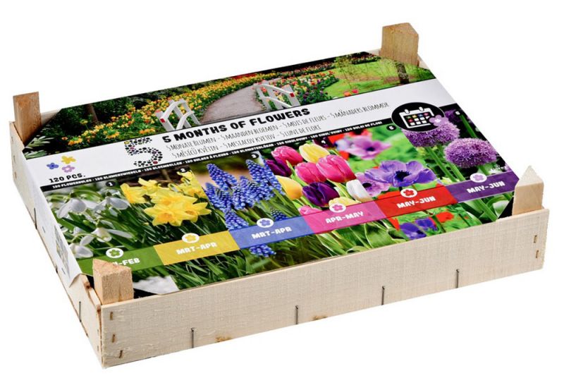 Florex Bloembollenpakket gemengd 5 Maanden Bloemen - Bloembollen - Gemengd - 120 stuks