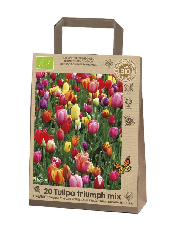 Florex Tulp Triumph - Bloembollen - Gemengd - 20 stuks