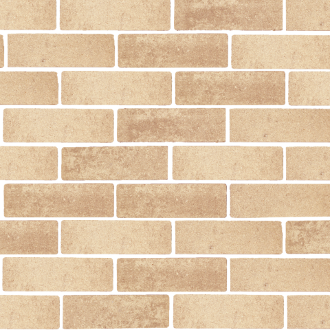 Gardenlux Volkerak waterpasserende eco bricks geimpregneerd 7x21x8 cm prijs per m2 - 