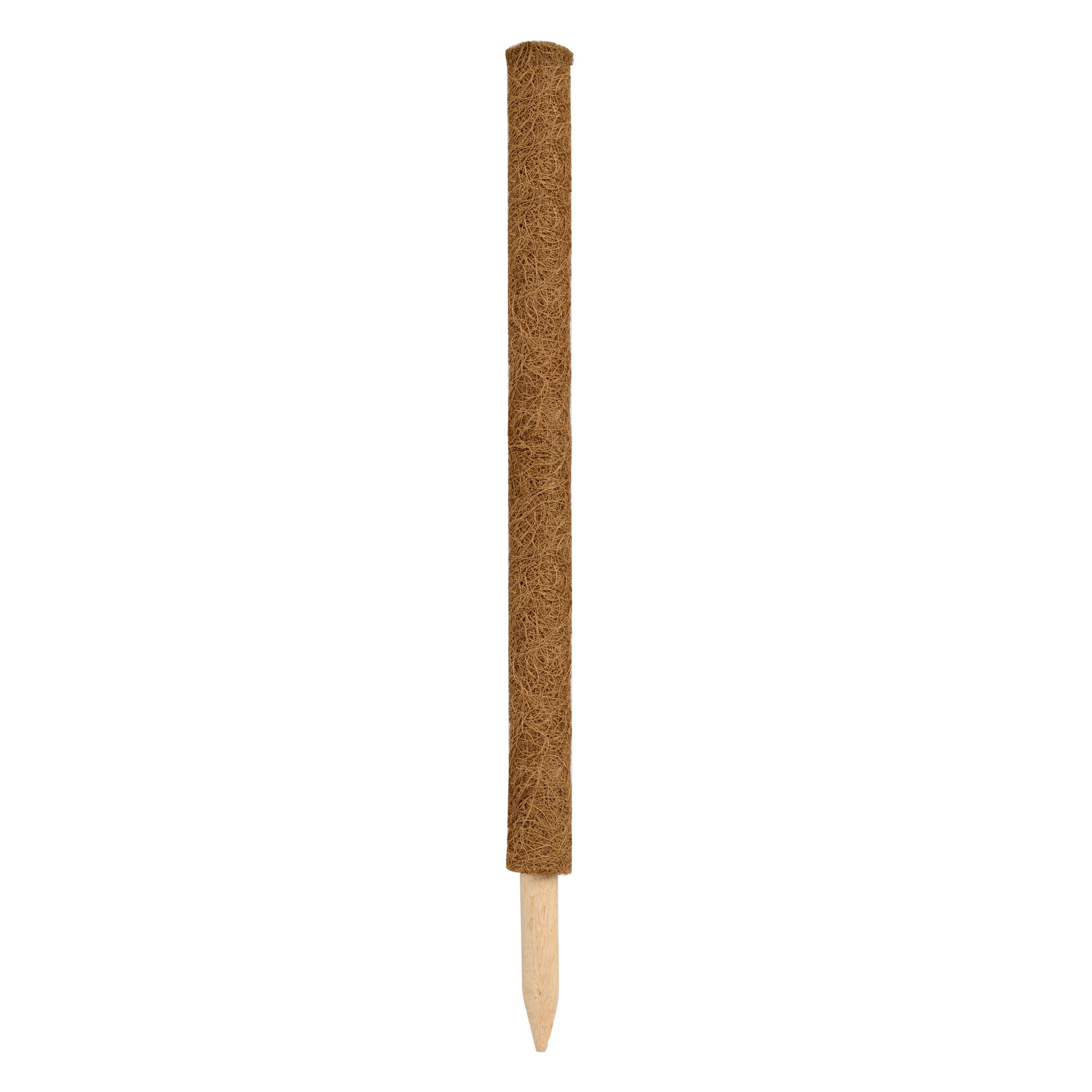 Nature 4x stuks plantenstok kokos 60 cm - kokosvezels - plantensteun / tonkinstokken -