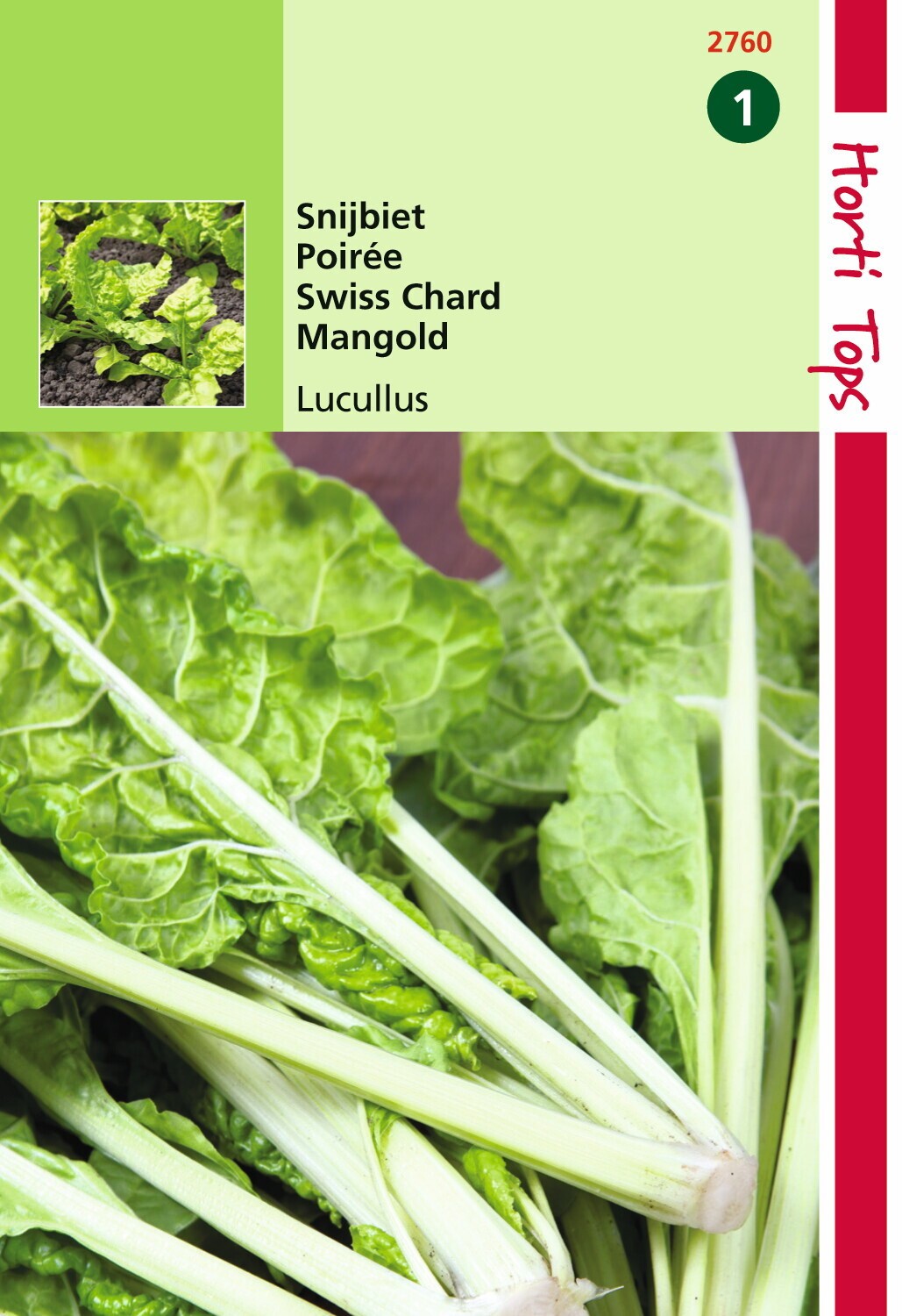 Hortitops Snijbiet Lucullus - 
