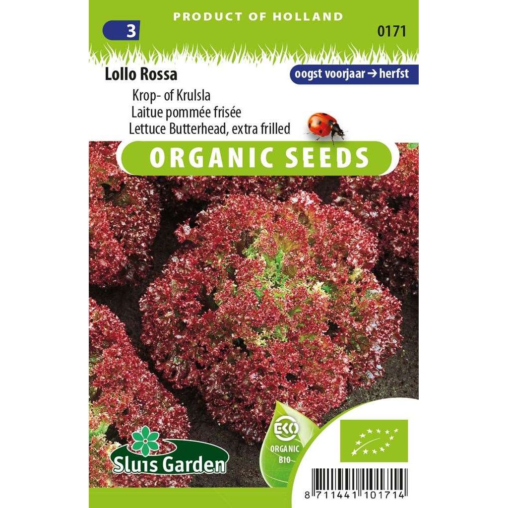 Krulsla zaden Lollo Rossa BIO