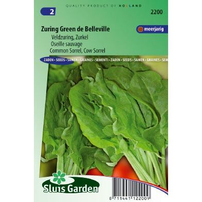 Zuring zaden Green de Belleville rumex