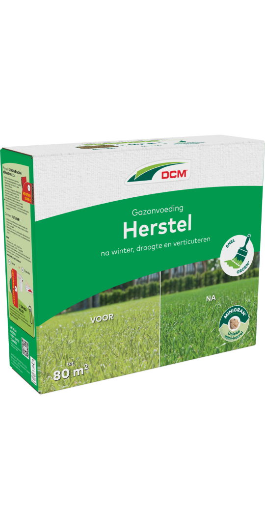 Dcm Gazonvoeding Herstel 3 kg - 