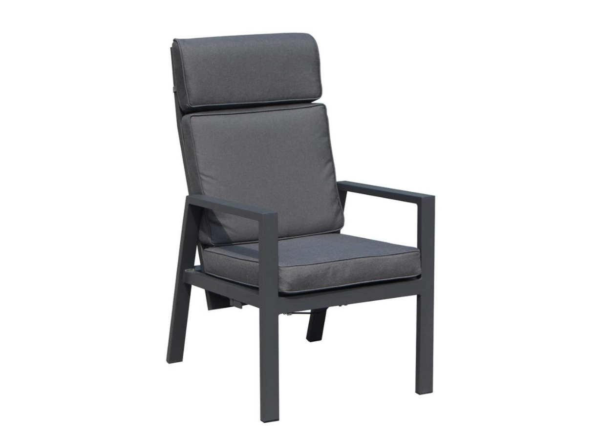 Driesprong collection Stefano xl dining stoel verstelbaar - 