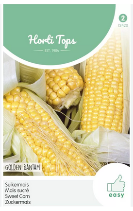 Hortitops Zaden witte mais glacial 20 zaden - 