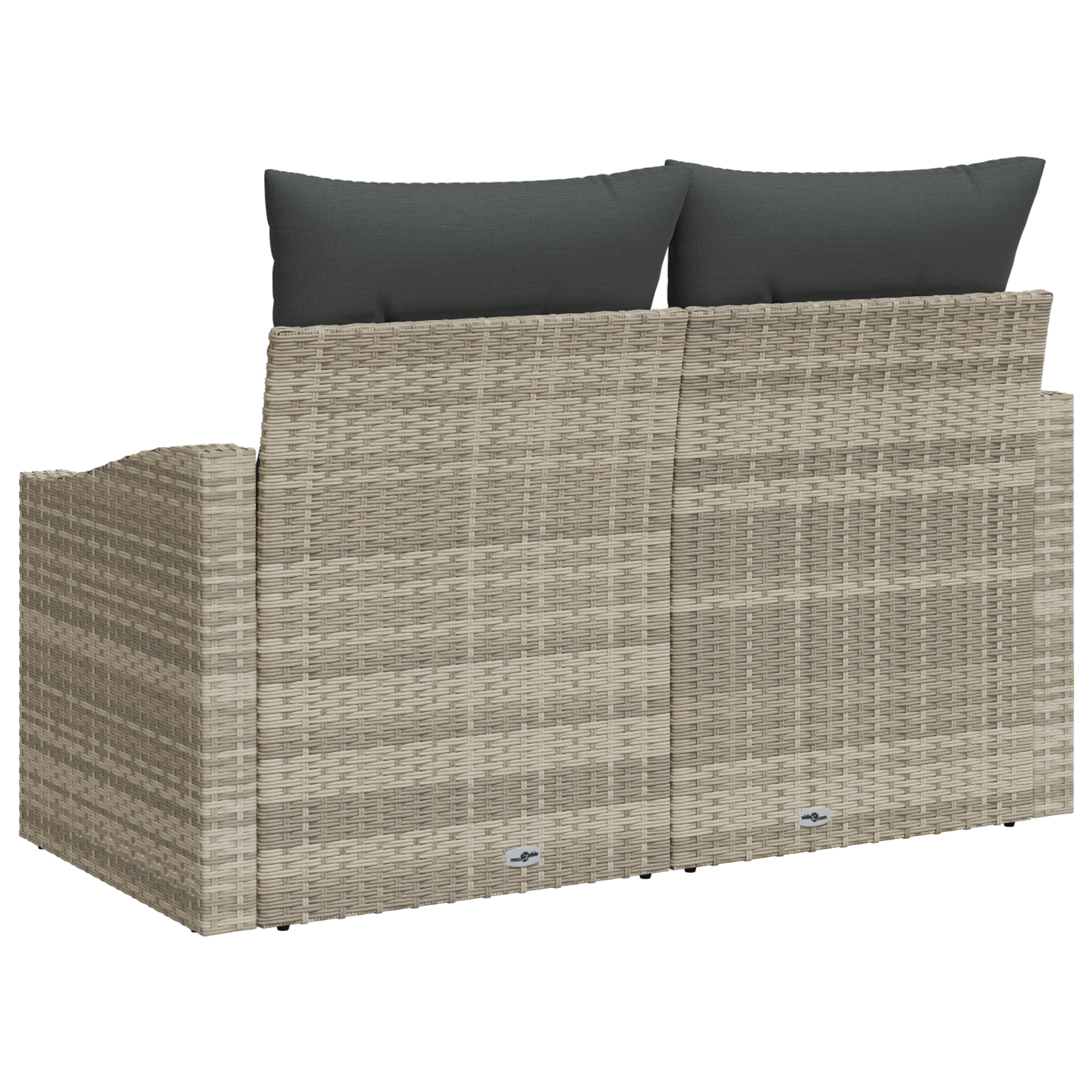 vidaXL Tuinbank 2-zits met kussens poly rattan grijs