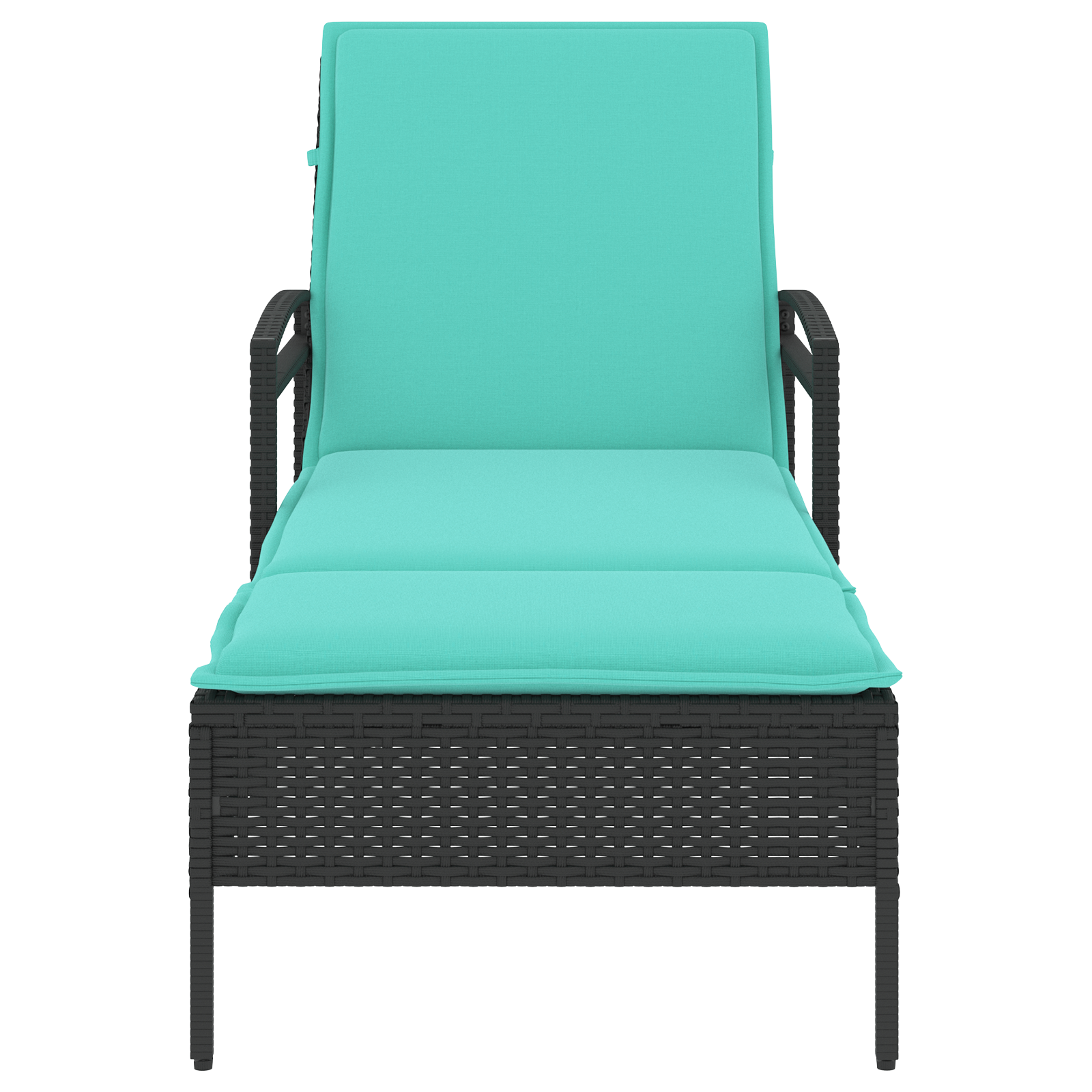 vidaXL Ligbed met kussen zwart 63x200x81 cm poly rattan (alleen VS)