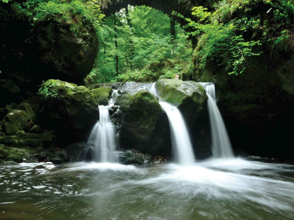 Customize it Waterval groen 70x50cm Tuinschilderij - 