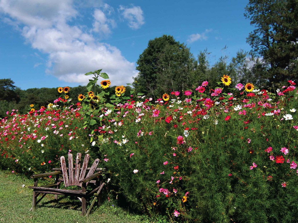 Customize it Bloemen stoel 70x50cm Tuinschilderij - 