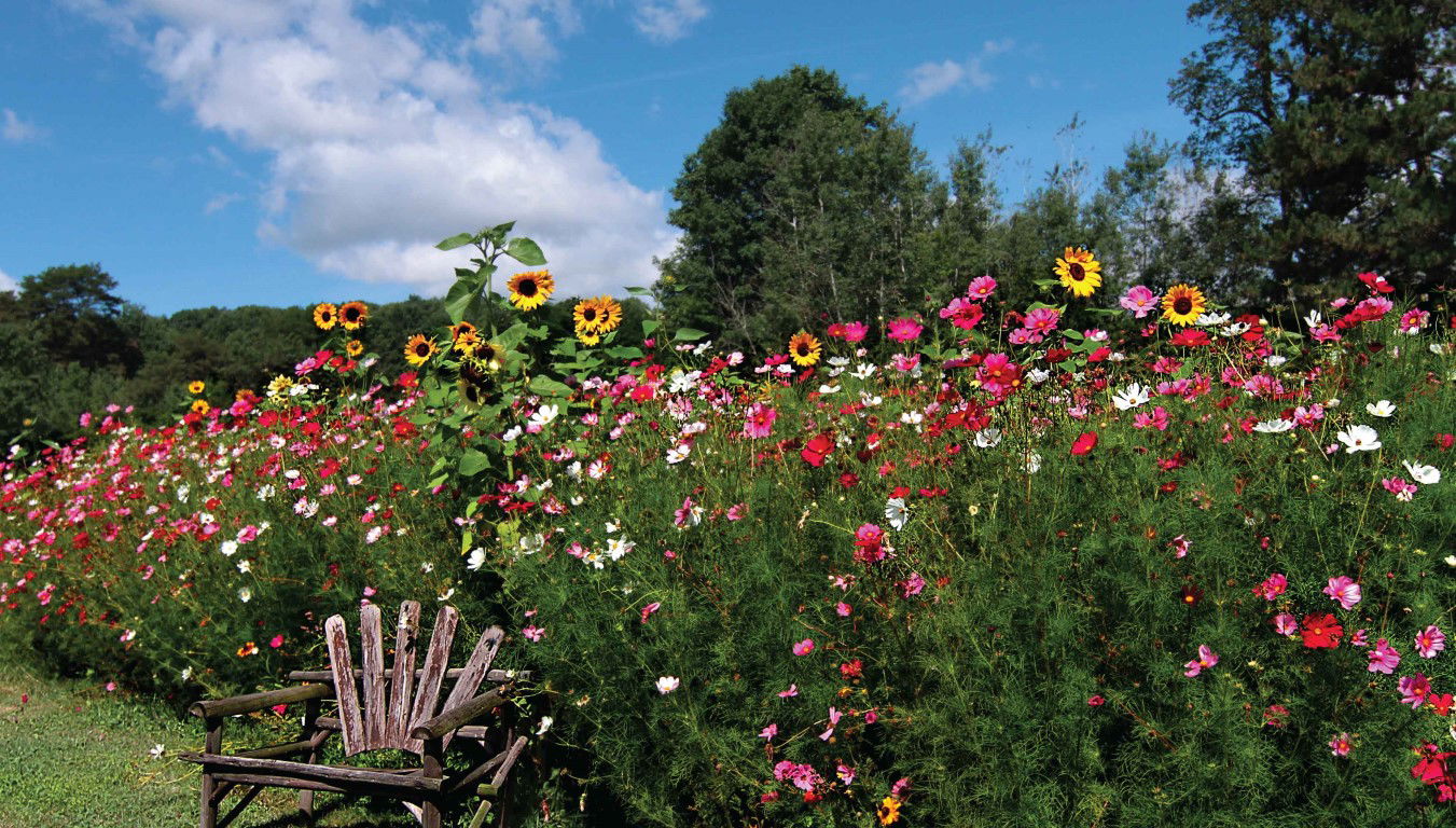Customize it Bloemen stoel 130x70cm Tuinschilderij - 