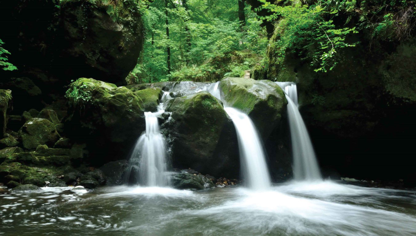 Customize it Waterval groen 130x70cm Tuinschilderij - 