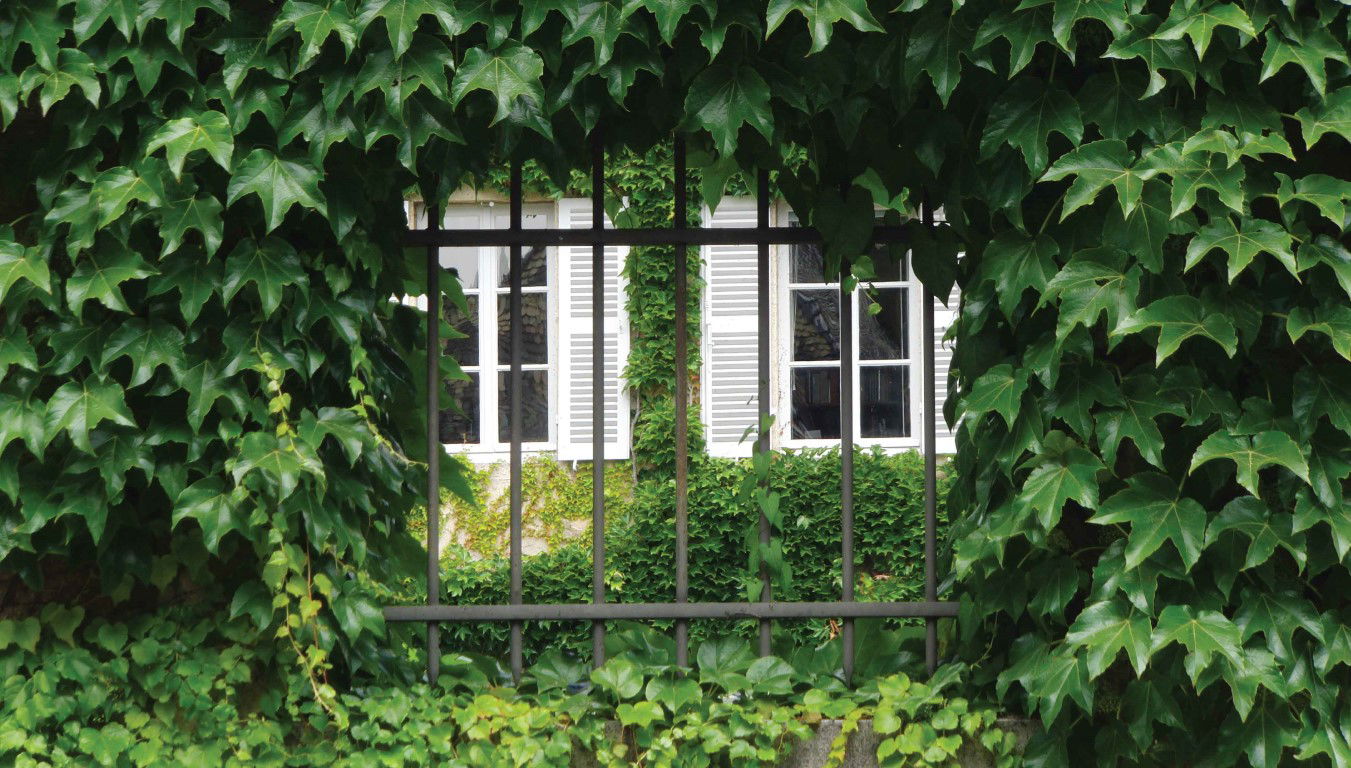 Customize it Hedera 130x70cm Tuinschilderij - 