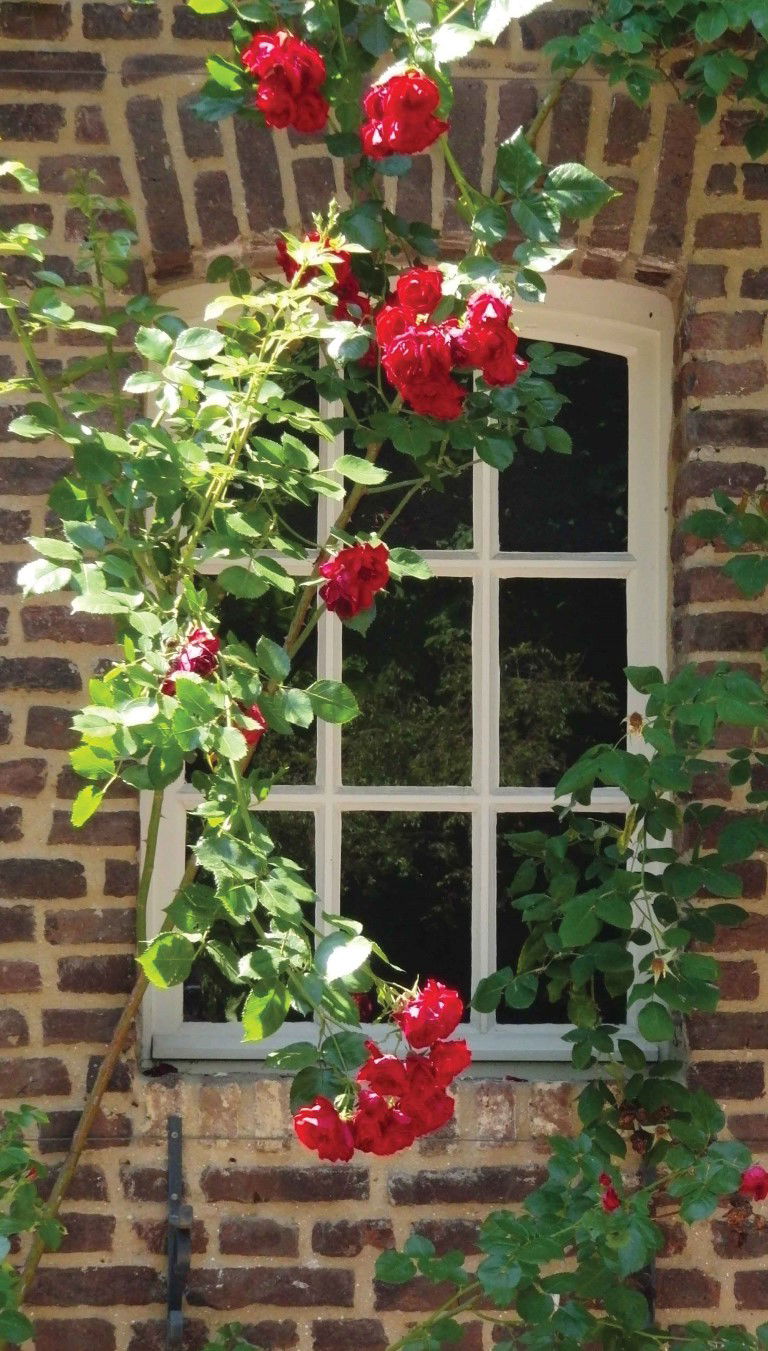 Customize it Raam bloemen 70x130cm Tuinschilderij - 