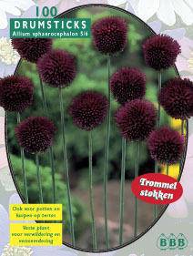Tuinplant.nl Sierlook / Sierui