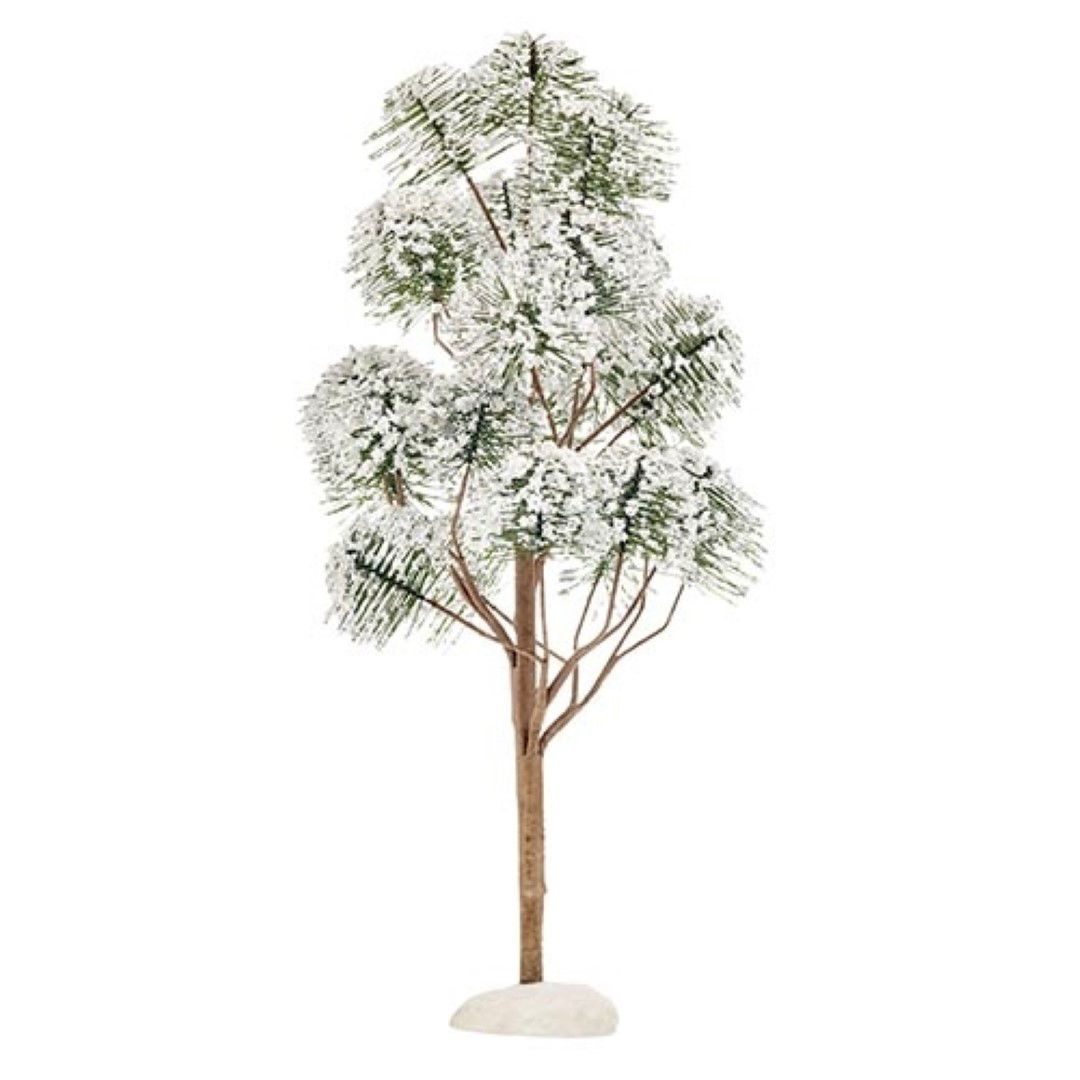 Luville Mountain Pine - 30x15 cm - 
