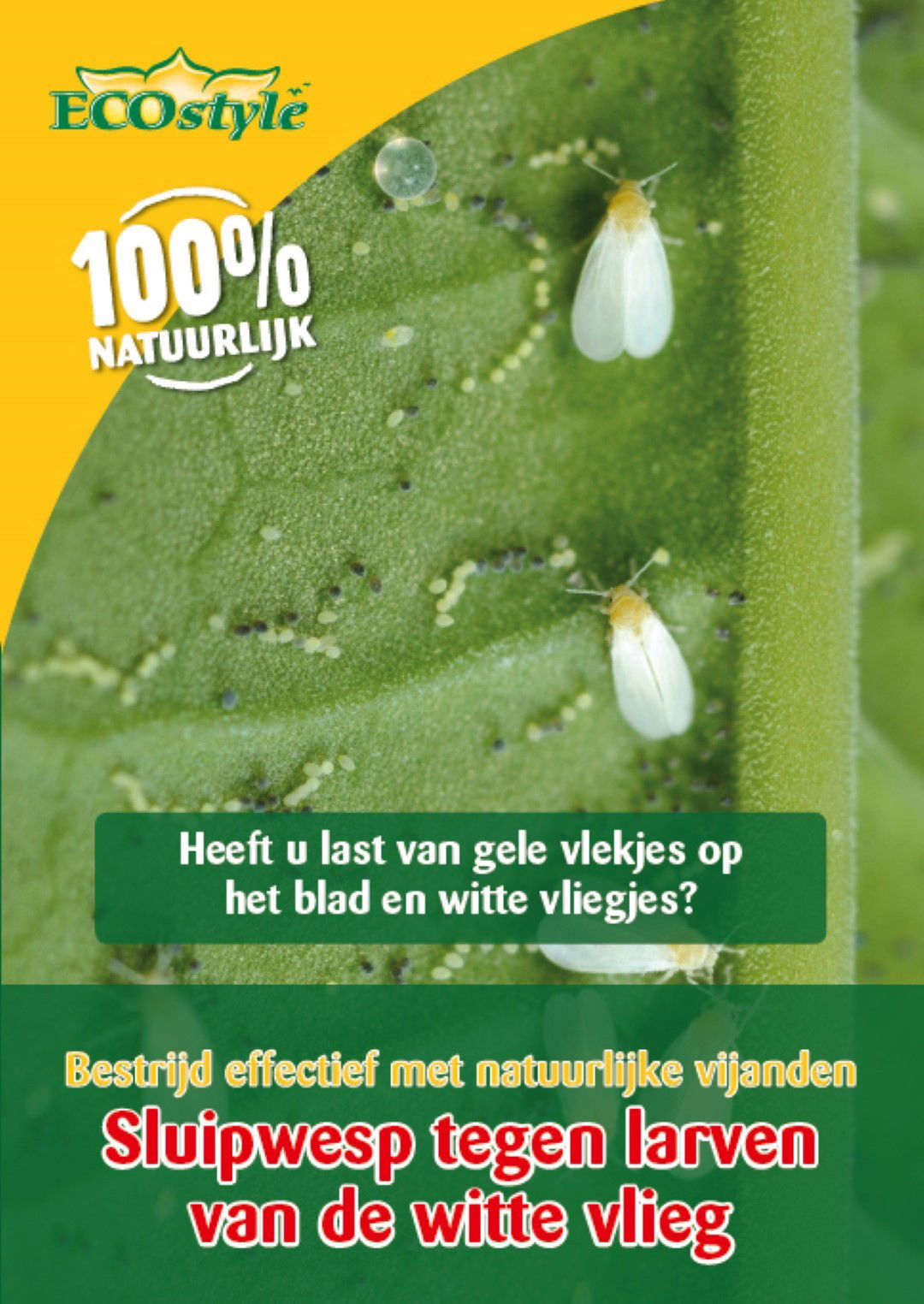 Ecostyle natuurlijke vijanden Sluipwesp tegen de larven van de witte vlieg - 