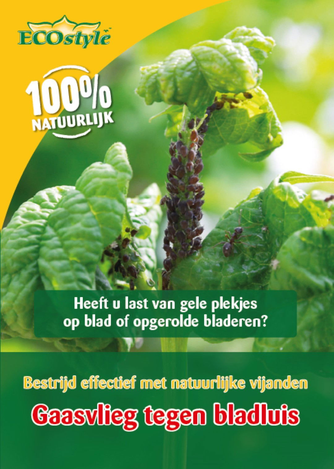 Ecostyle natuurlijke vijanden Gaasvlieg tegen bladluis - 