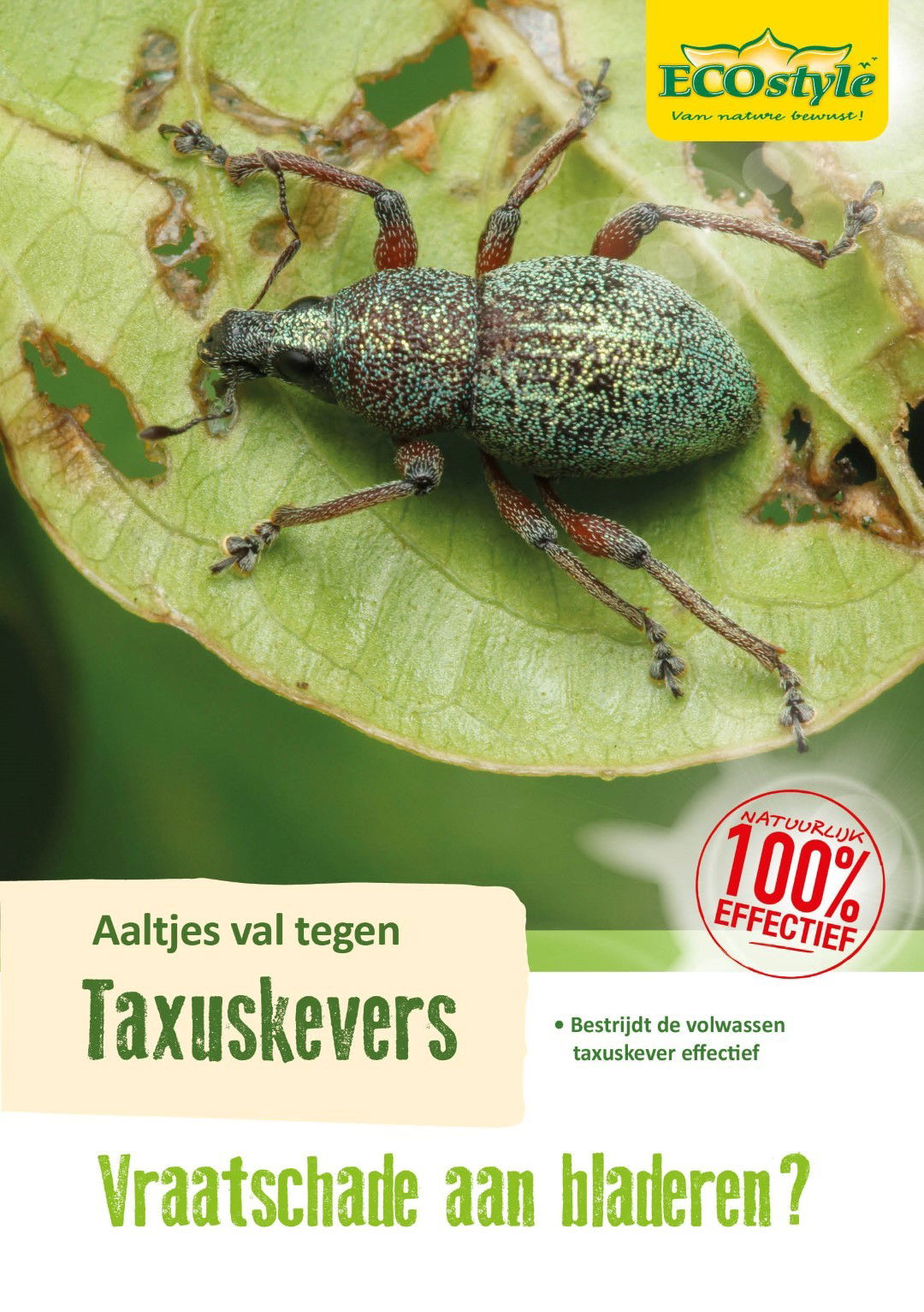 Ecostyle natuurlijke vijanden Aaltjes tegen taxuskever val - 