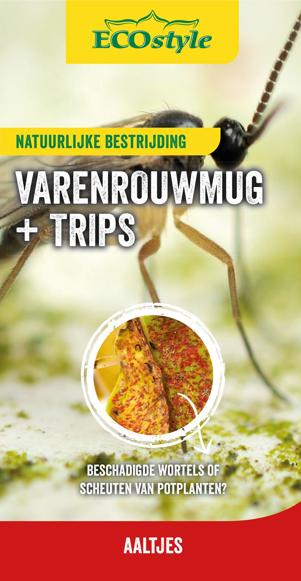 Ecostyle natuurlijke vijanden Roofwants tegen trips 500 st - 