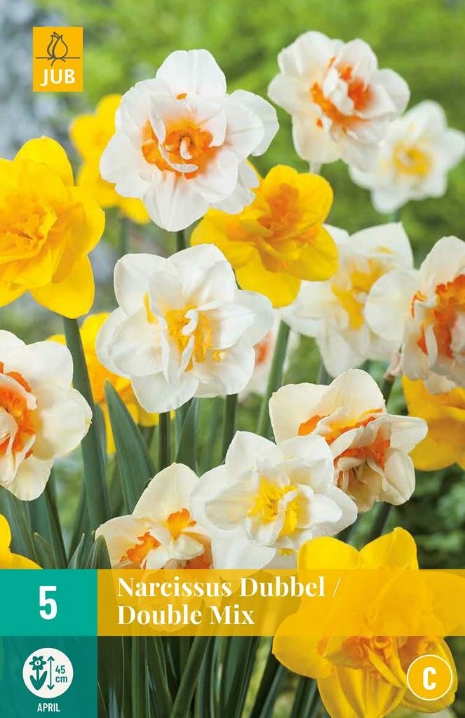 Narcis dubbel mix 5 bollen