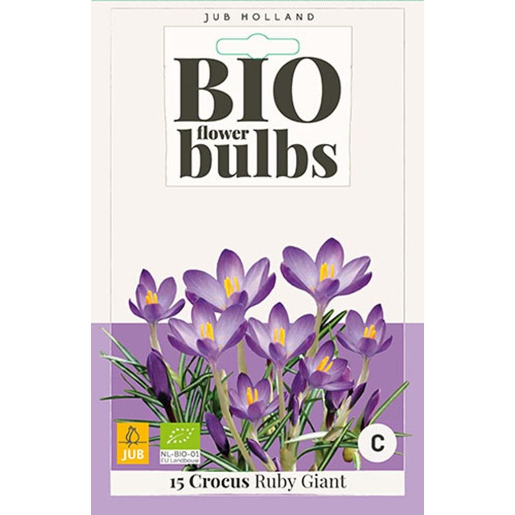 Bio krokus Ruby Giant 15 bollen