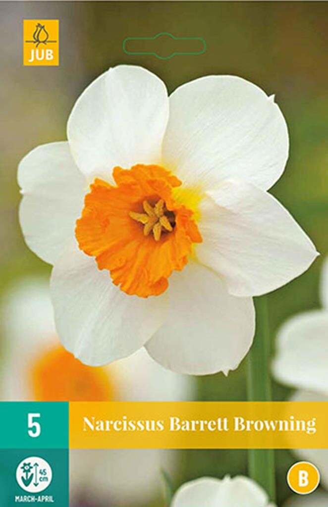 Narcis barrett browning 5 bollen