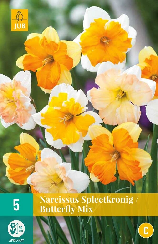 Narcis spleetkronige mix 5 bollen