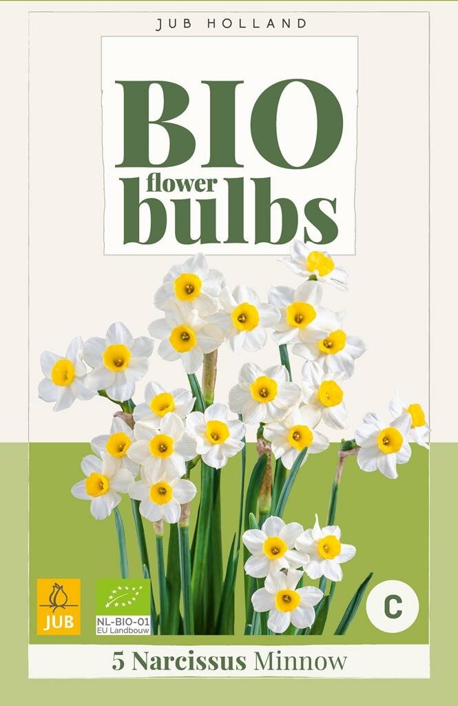Bio narcis minnow 5 bollen