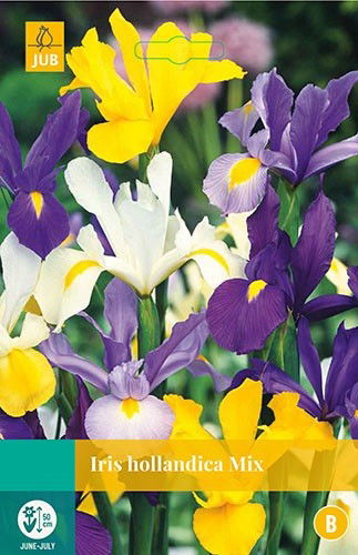 Jub Iris hollandica mix 20 bollen - 