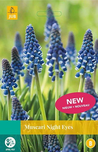 Jub Muscari Night Eyes 8 bollen - 