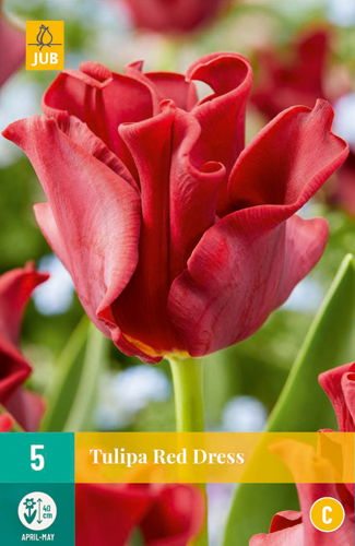 Jub Tulipa red dress - 