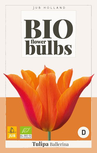 Jub Tulipa Ballerina - bio - 