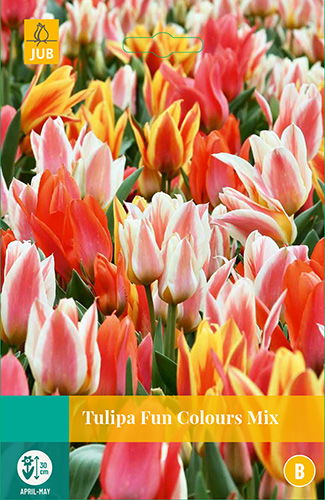 Jub Tulipa Fun Colours, 5 bloembollen - 
