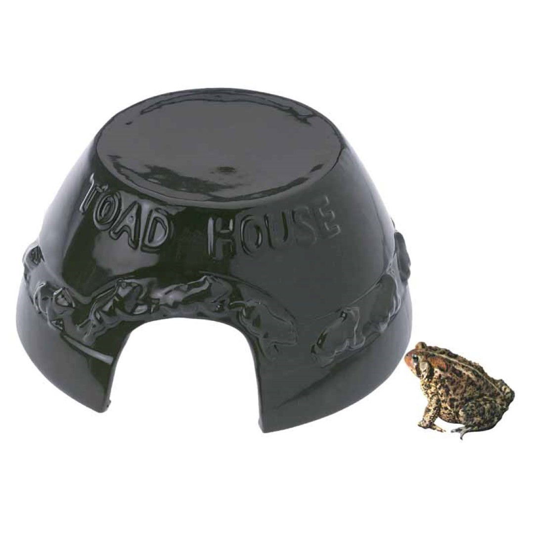 Best for birds Paddenhuis - 