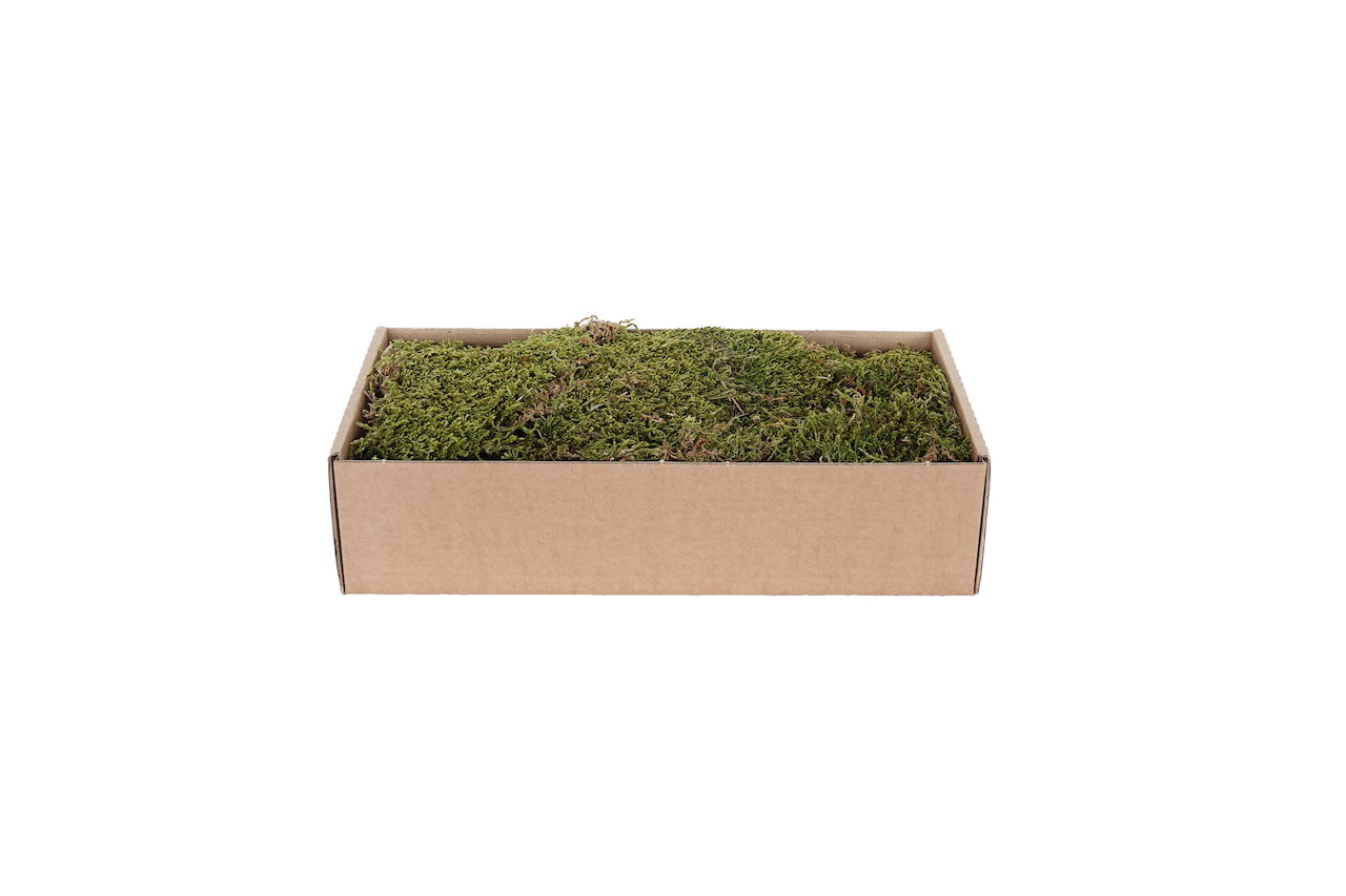 My village Platmos Groen-Bruin 500G kerst - 