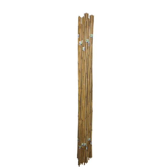 Meuwissen agro Tonkinstokken dia. 18/20 mm X 240 cm 100 Stuks - 