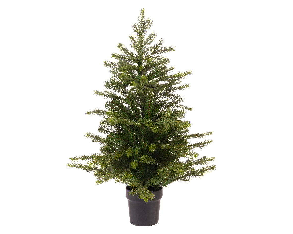 Everlands Grandis mini boom d44h60 cm groen - 