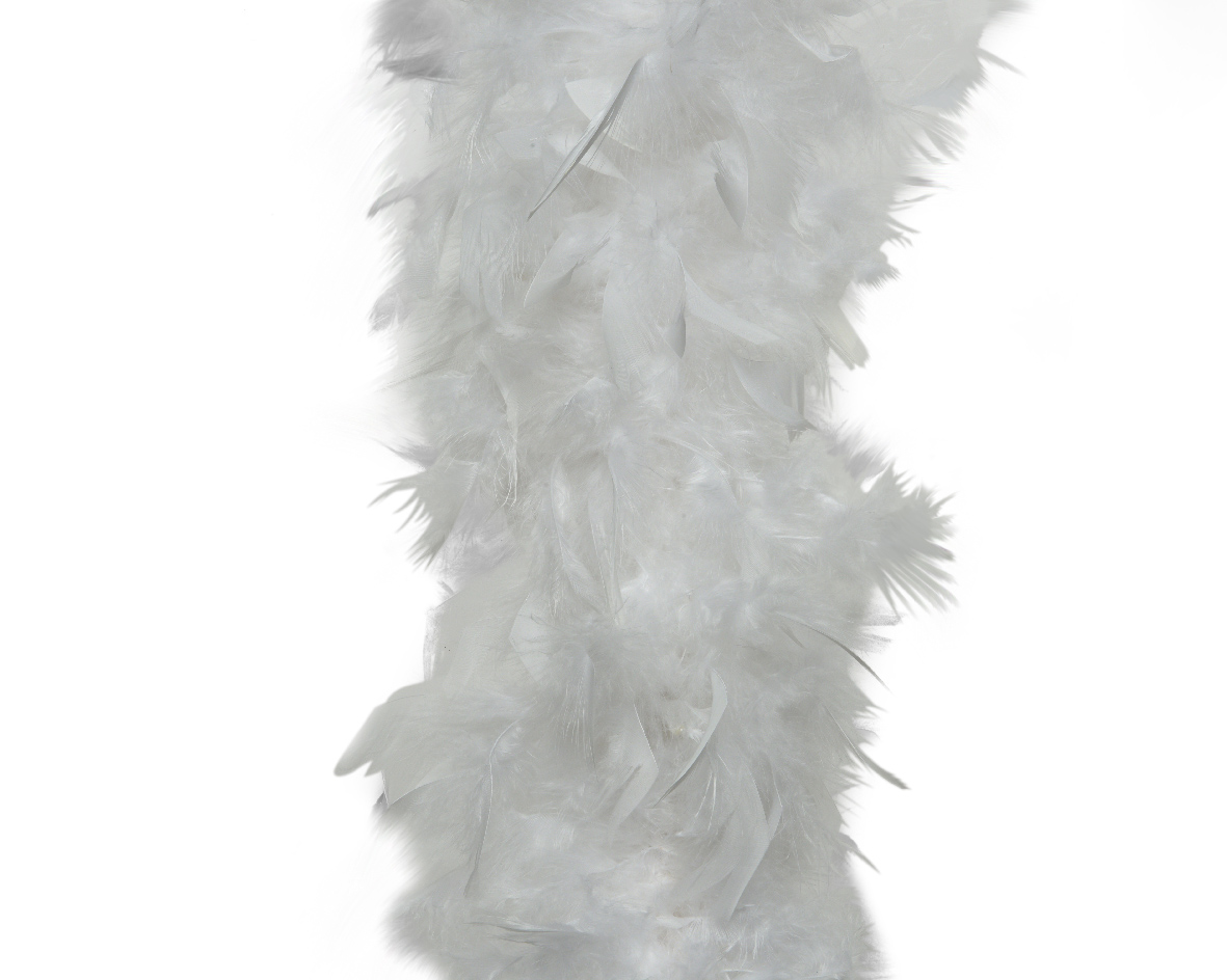 Decoris Boa veer d15l184h13 cm wit kerst - 