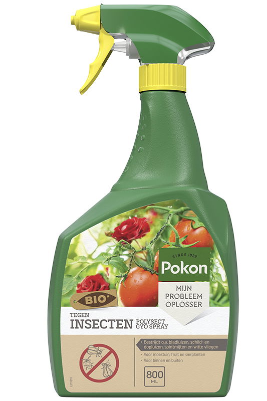 Pokon Tegen Insecten Spray - 